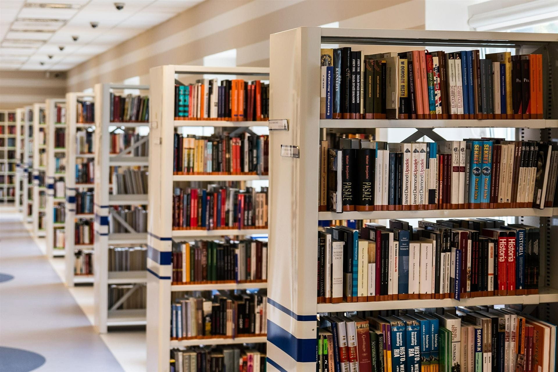 Libraries framed by an Economic Definition of the Information Society